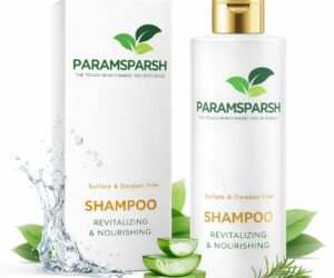 ParamSparsh Shampoo